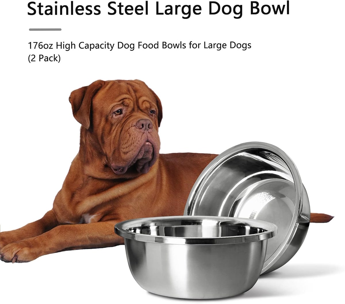 Budget dog food for large breeds in a stainless steel bowl