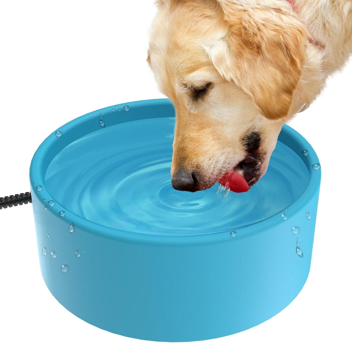Dog water bowl with TropiClean fresh breath water additive on kitchen floor