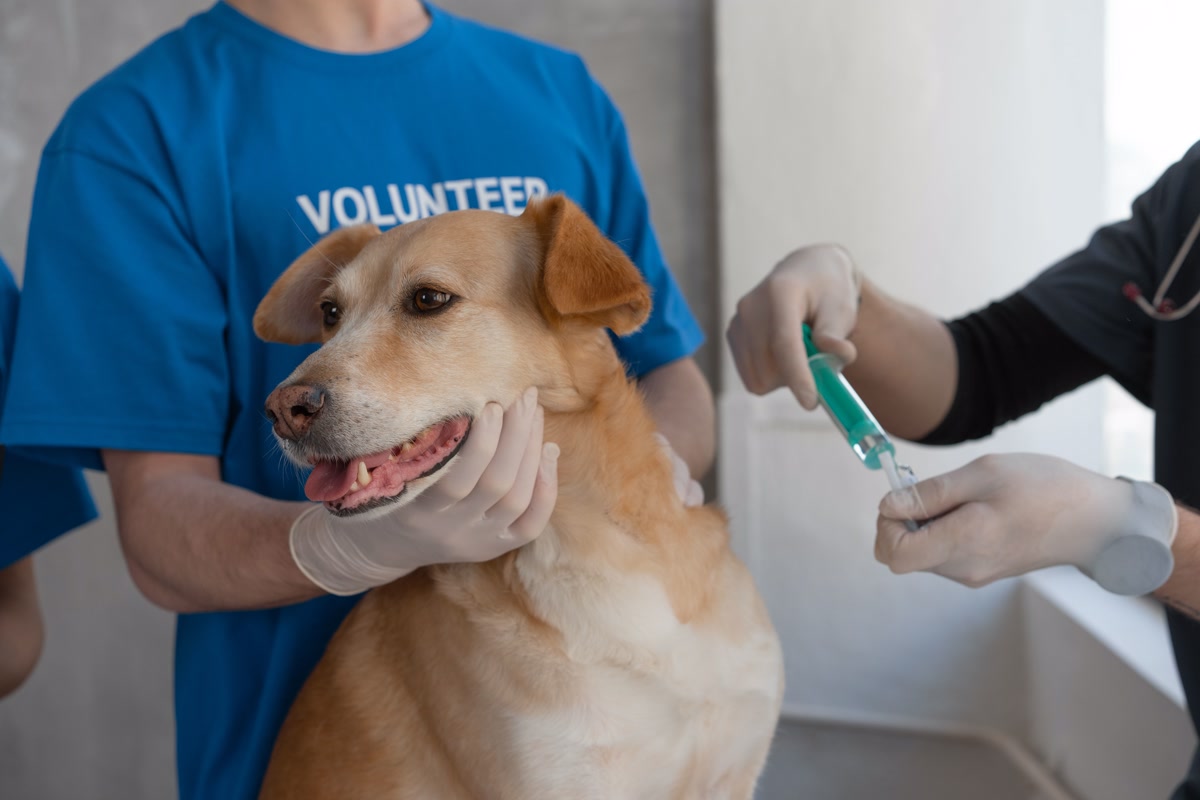 low cost vaccine clinic