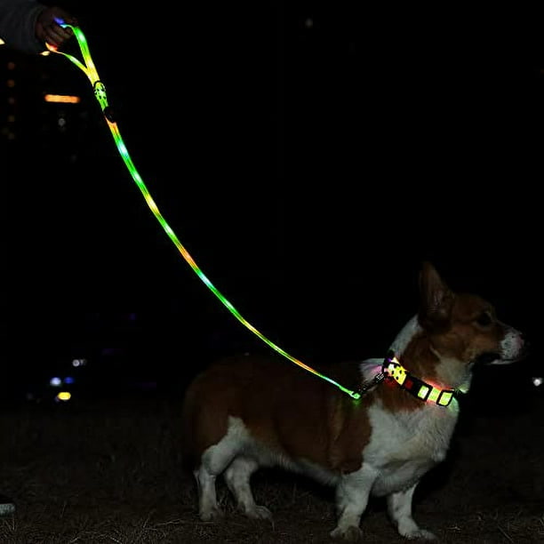 Dark-coated dog wearing LED light collar walking on suburban sidewalk at dusk