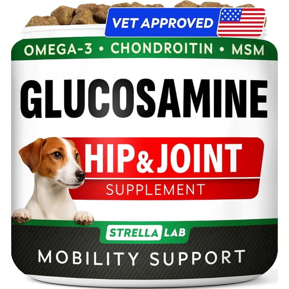 Glucosamine and fish oil supplement bottles next to dog food bowl