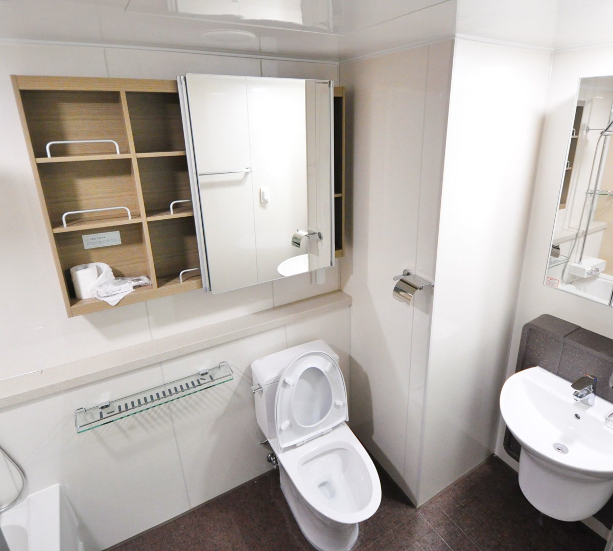 Clean bathroom with secured medicine cabinet and toilet lid lock