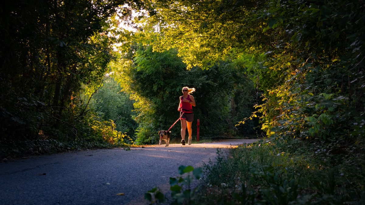 Running with dog on nature trail