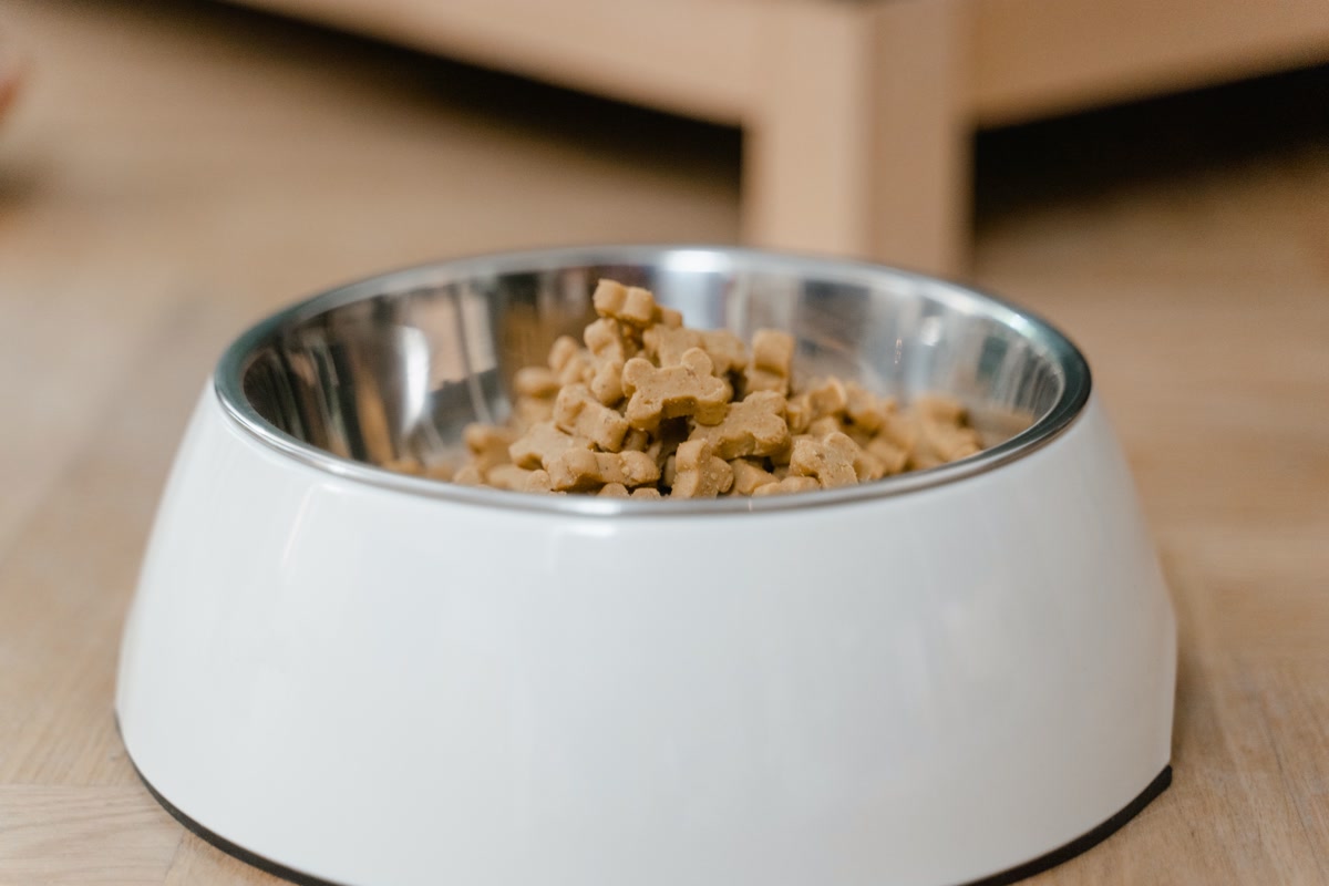 Stainless steel dog bowls on silicone mat