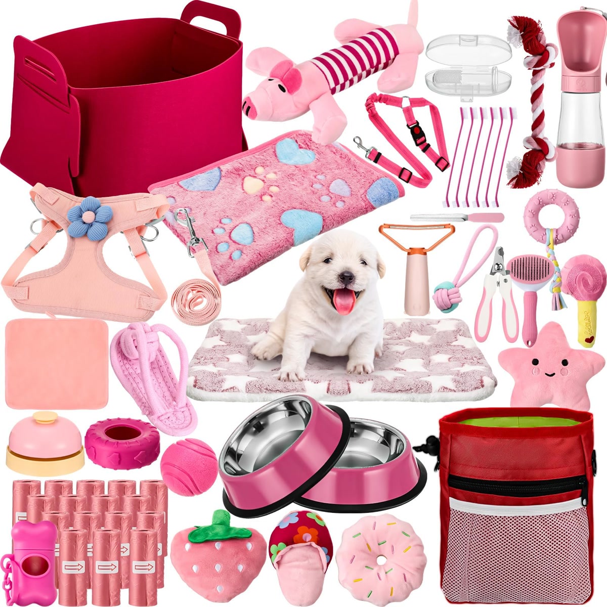 new puppy surrounded by essential supplies crate leash collar bowls and bed