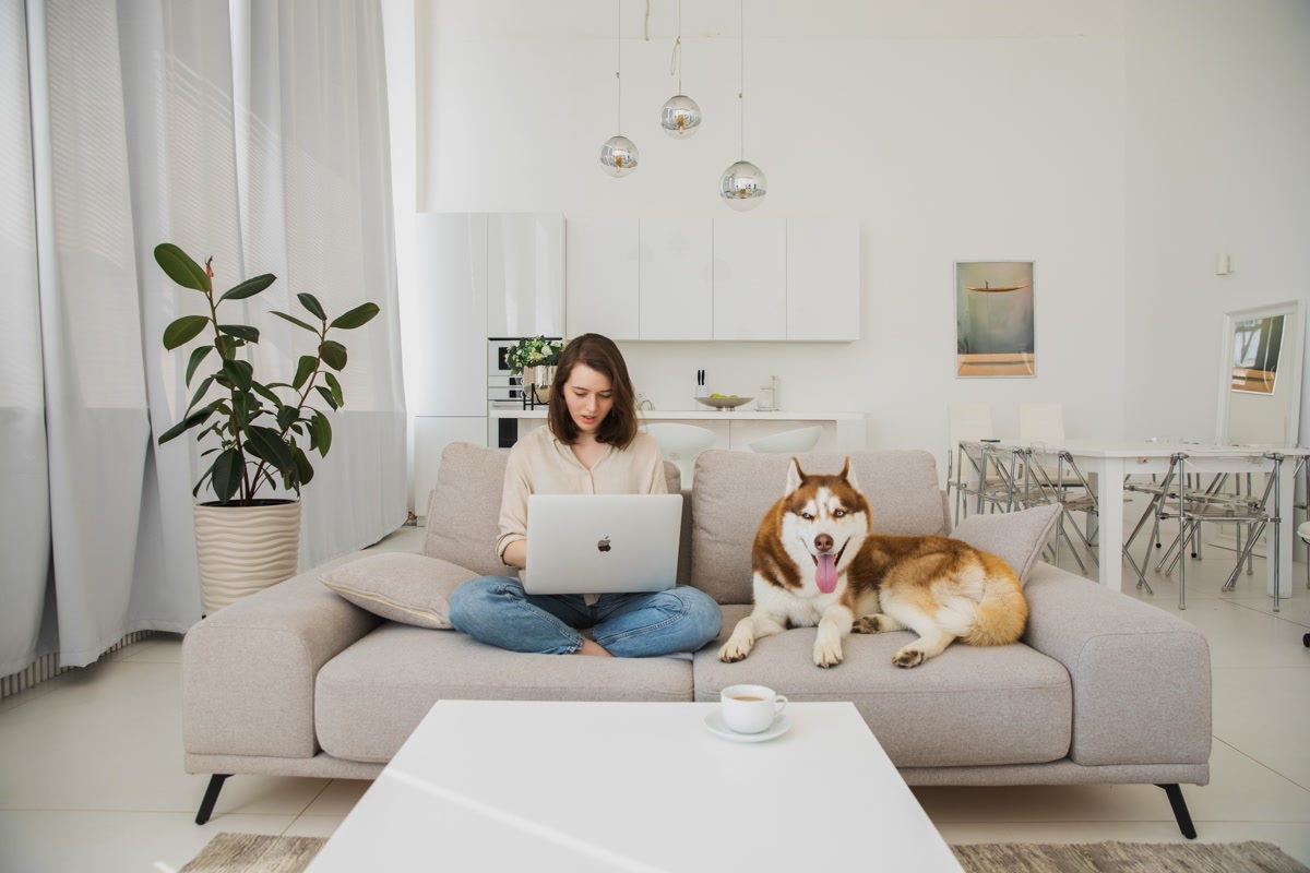 happy dog sitting on couch next to vet bills showing the real cost of dog ownership