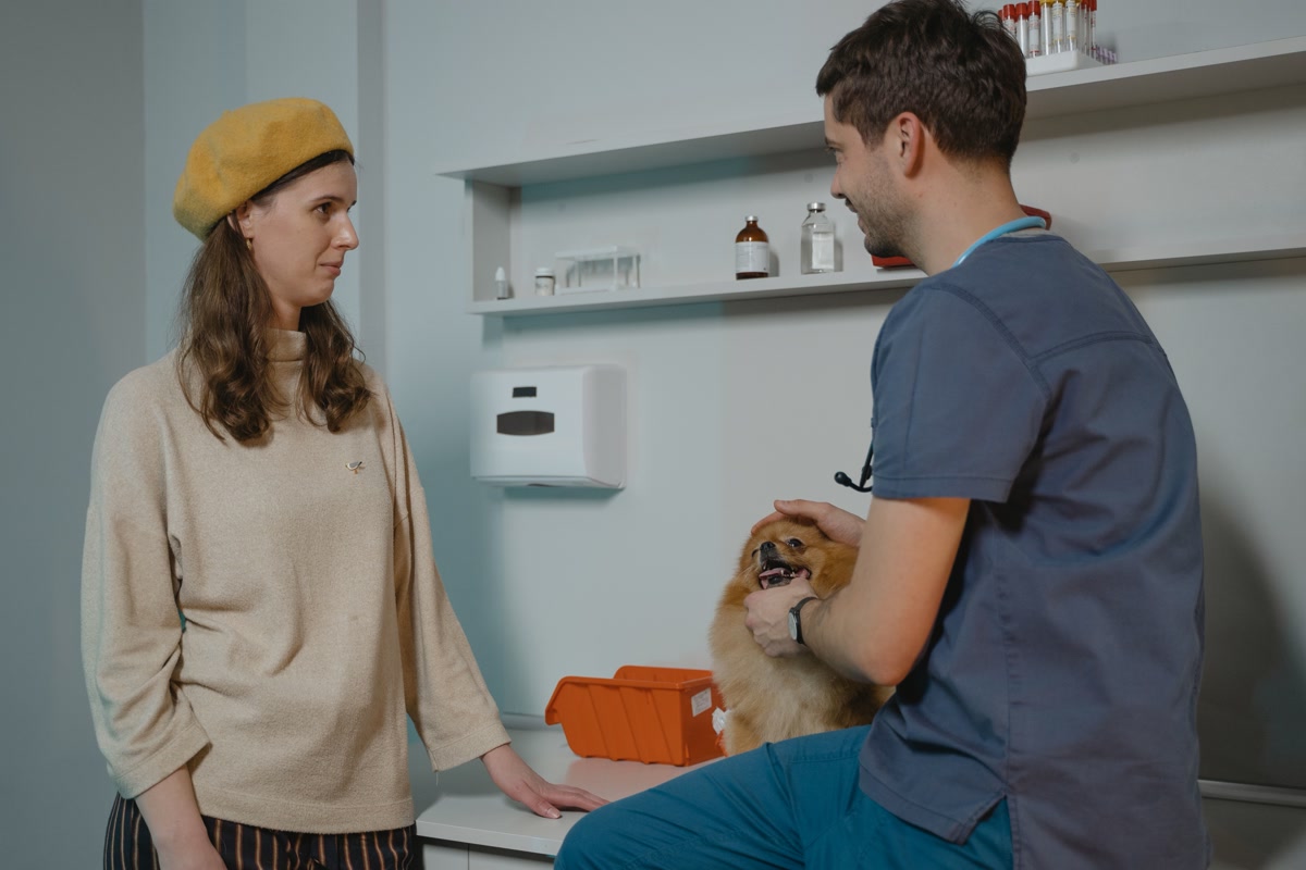 dog owner reviewing unexpected veterinary care documents with calculator and budget spreadsheet