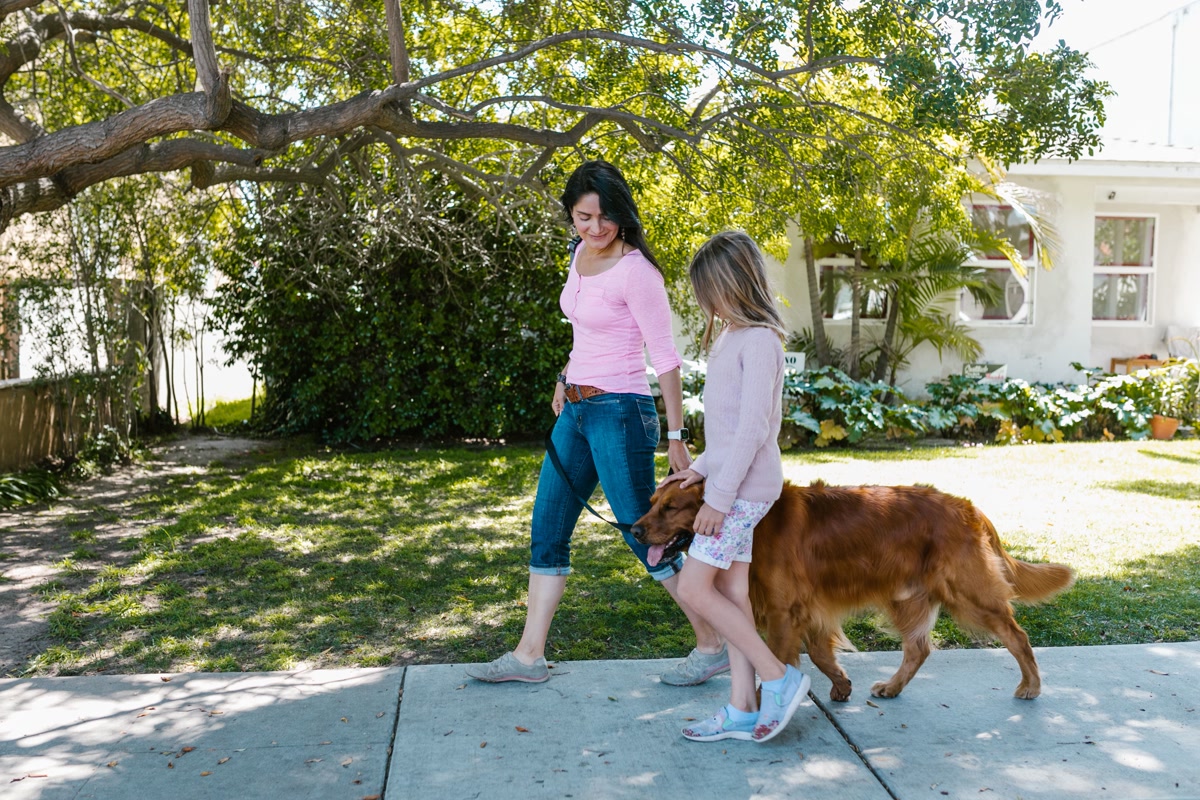 friendly woman walking a medium dog on suburban neighborhood sidewalk