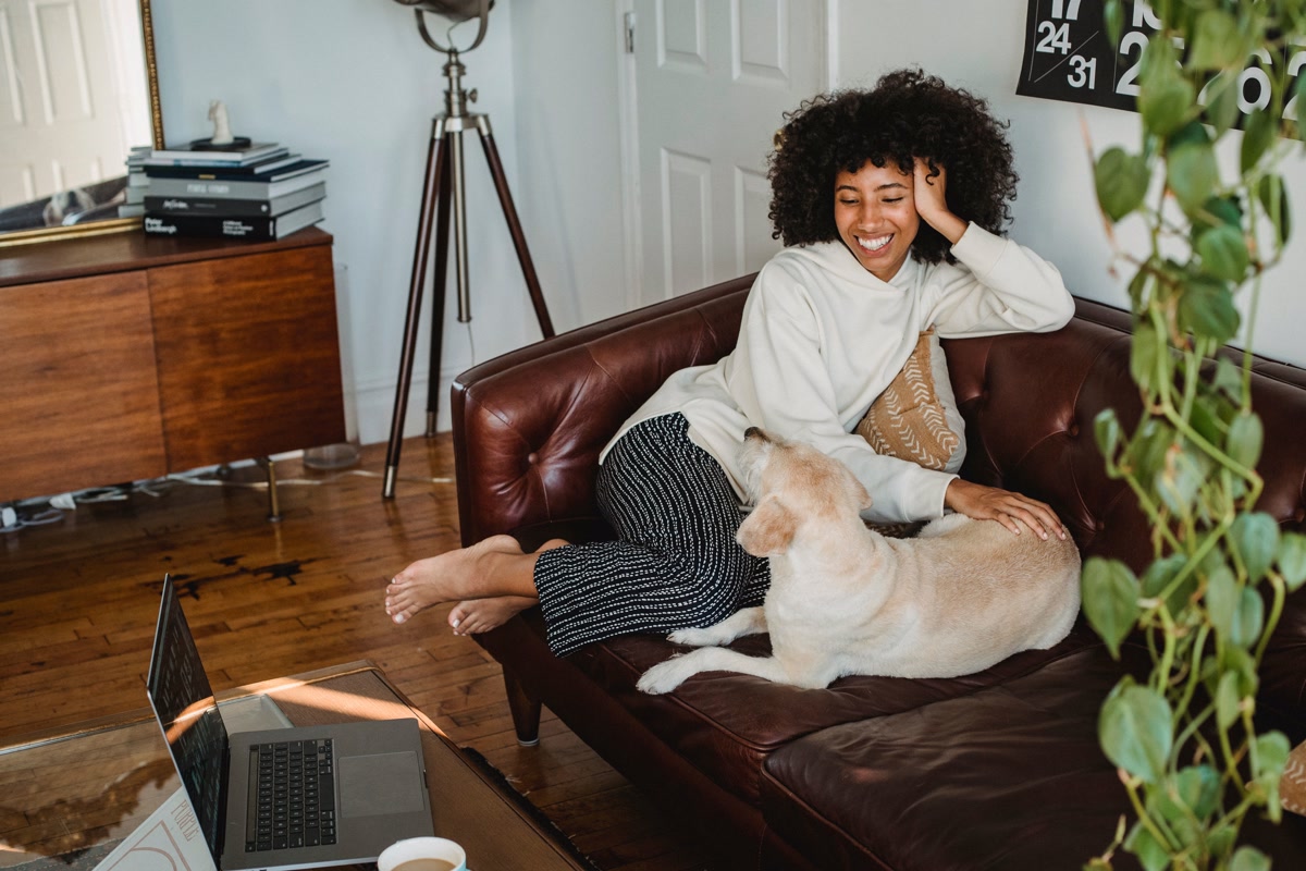 Dog owner sitting on couch with labrador reviewing insurance options on a laptop