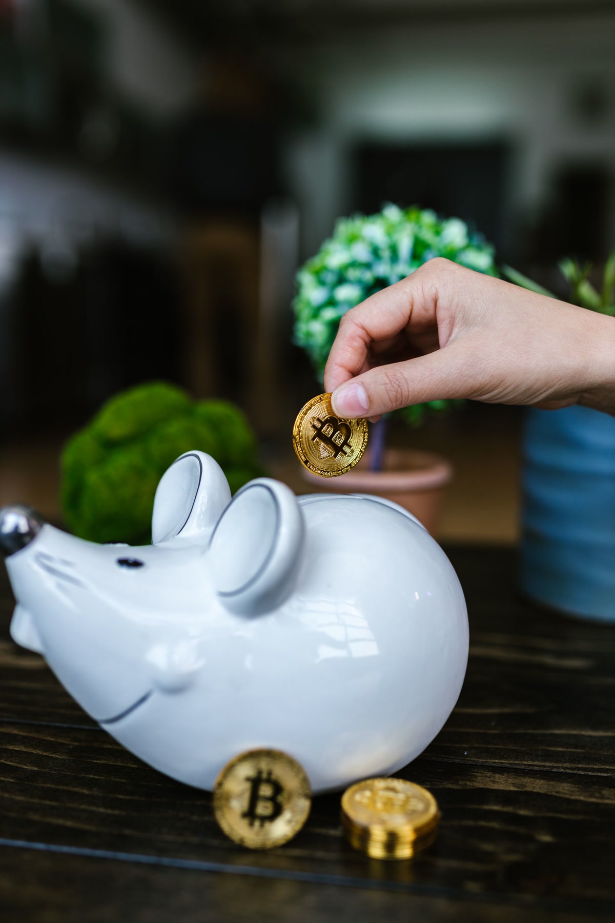 Dog-shaped piggy bank on a wooden desk next to a stethoscope and pet treats