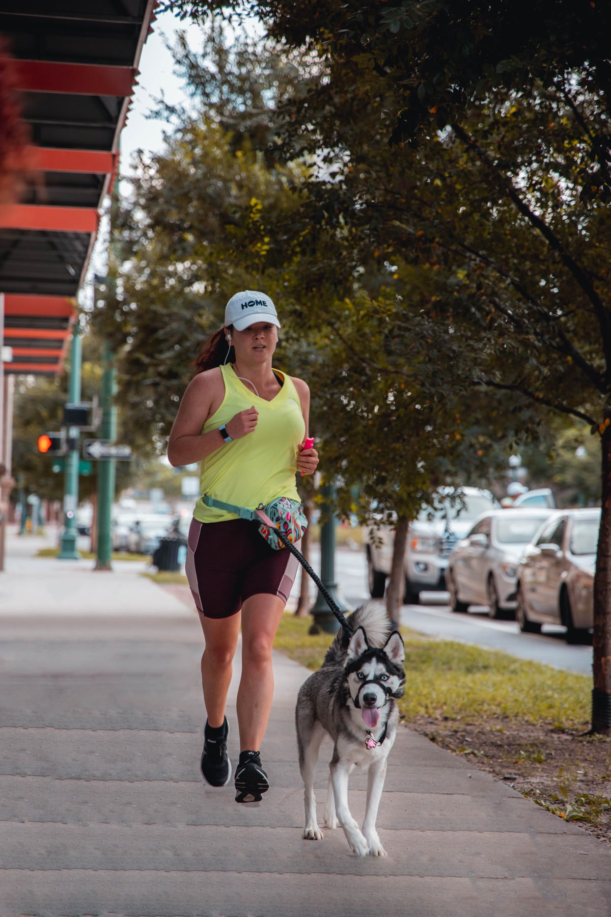 Person jogging with a large dog using a hands-free waist belt leash on a trail