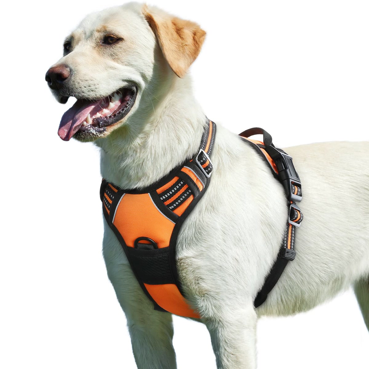 Best No Pull Harness 02