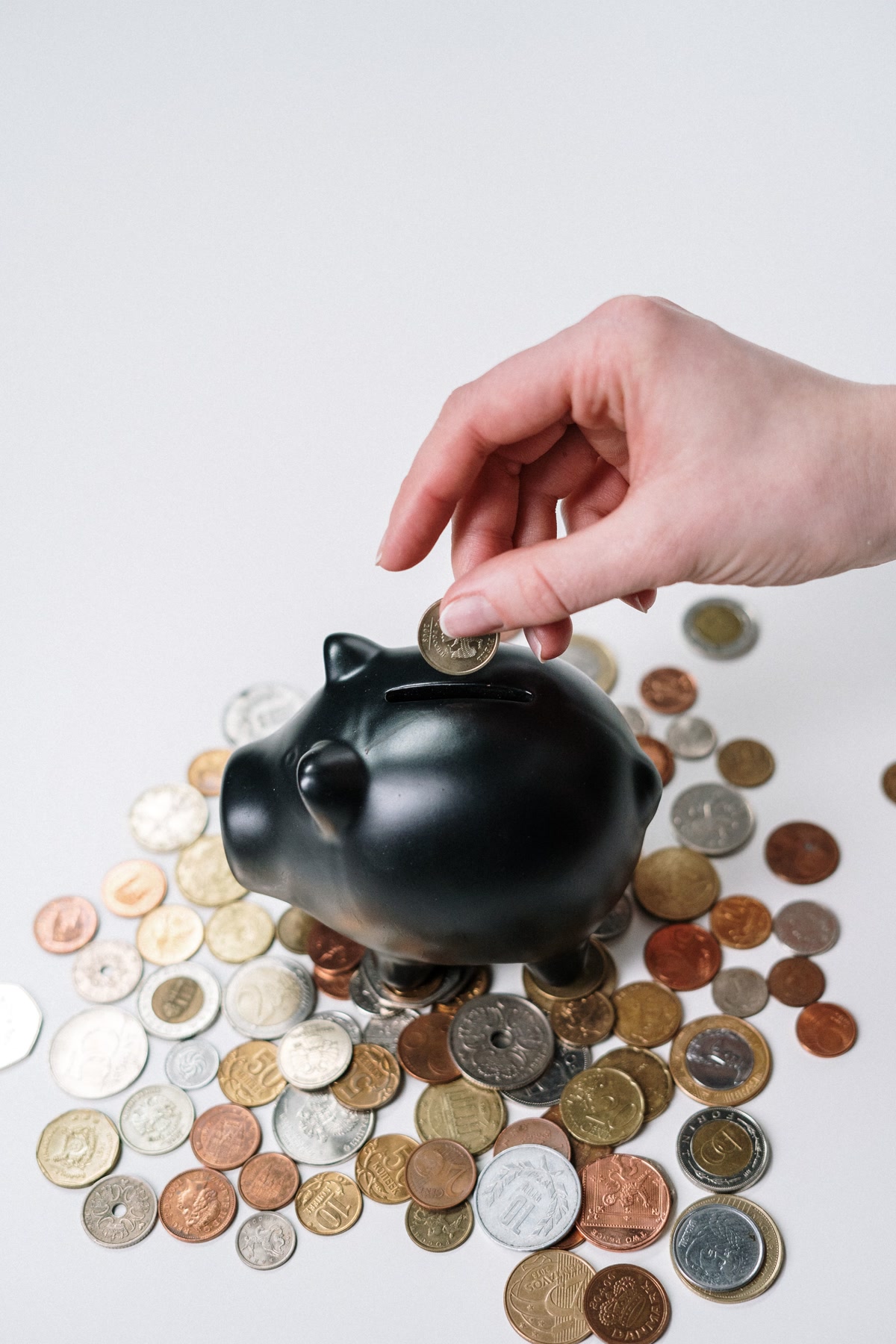 saving money on dog food