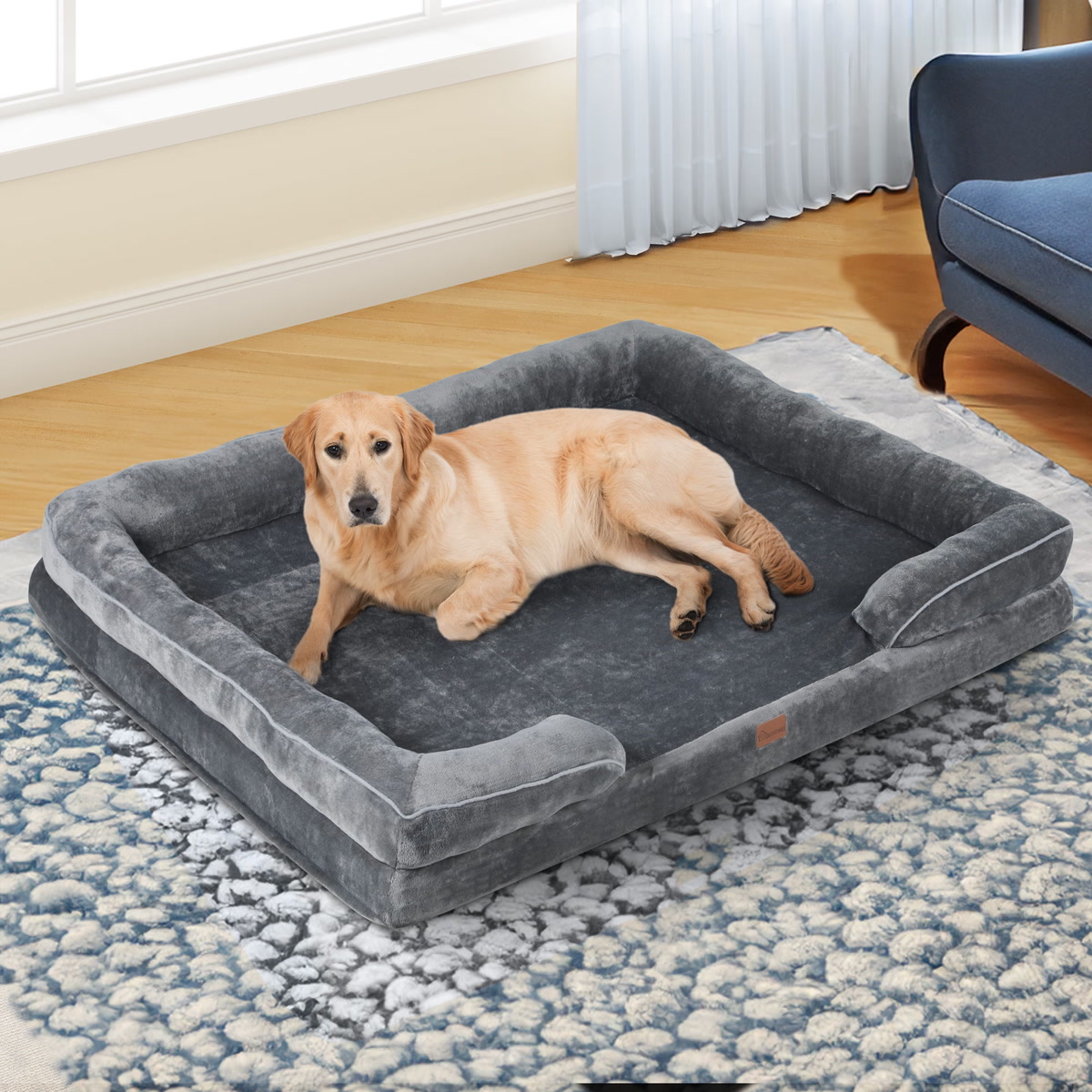 Large dog sleeping peacefully on an orthopedic memory foam dog bed in a cozy living room