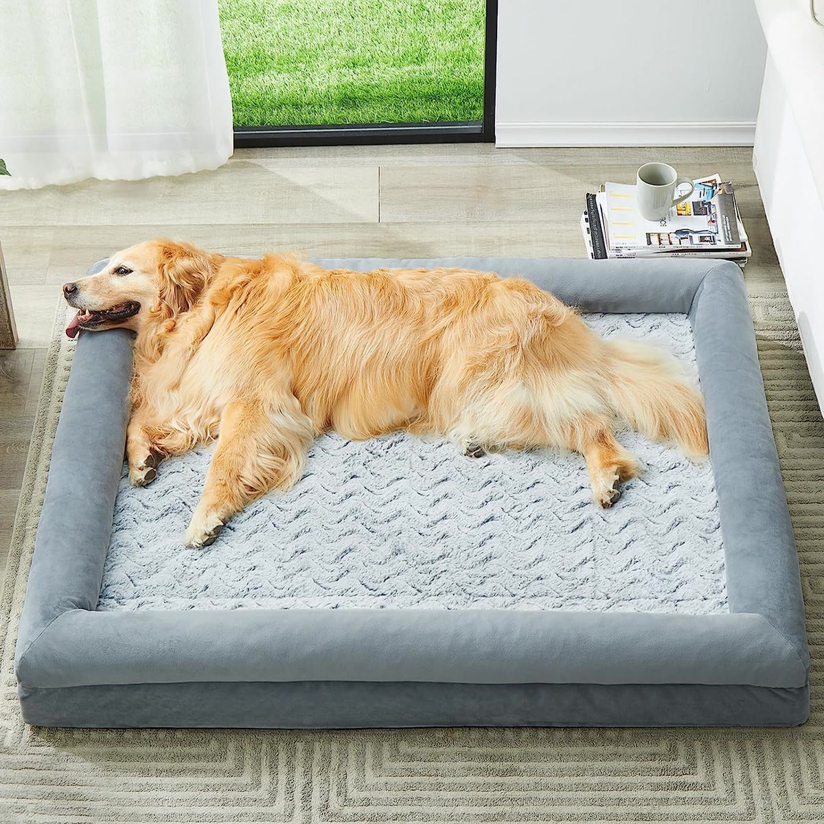 Large dog resting comfortably on a premium orthopedic dog bed
