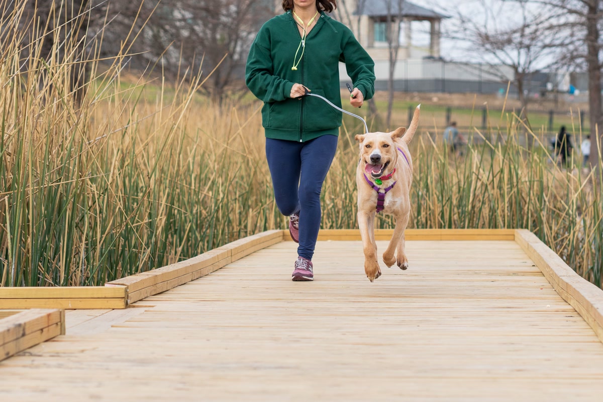 Person running with their dog on a scenic trail using a hands-free leash