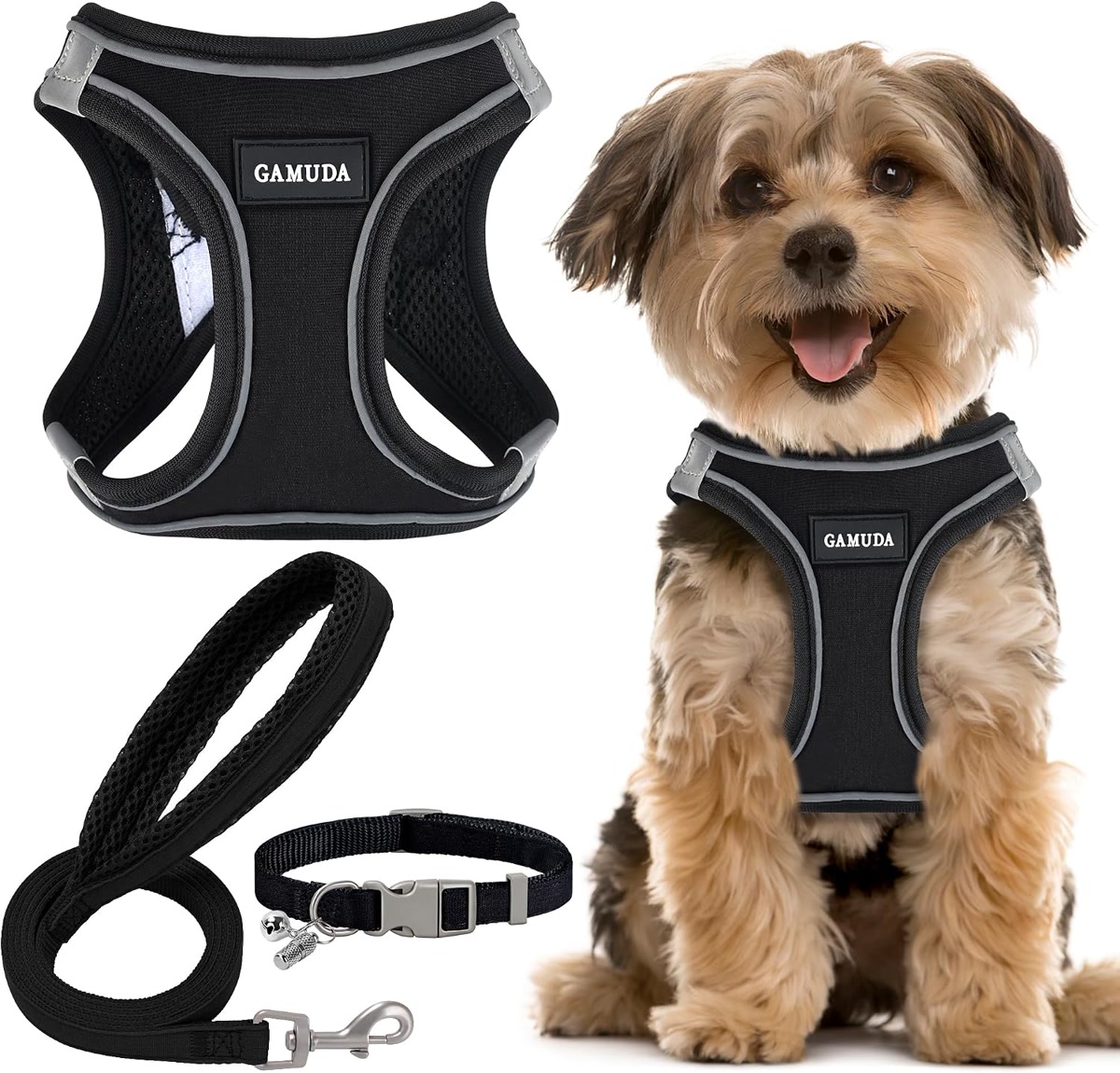 Dog wearing no-pull harness running with owner on suburban path