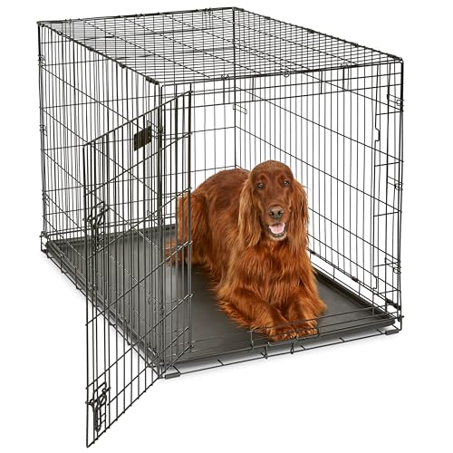 Midwest 42-Inch Single Door iCrate, for Large Breeds, 71-90 lbs