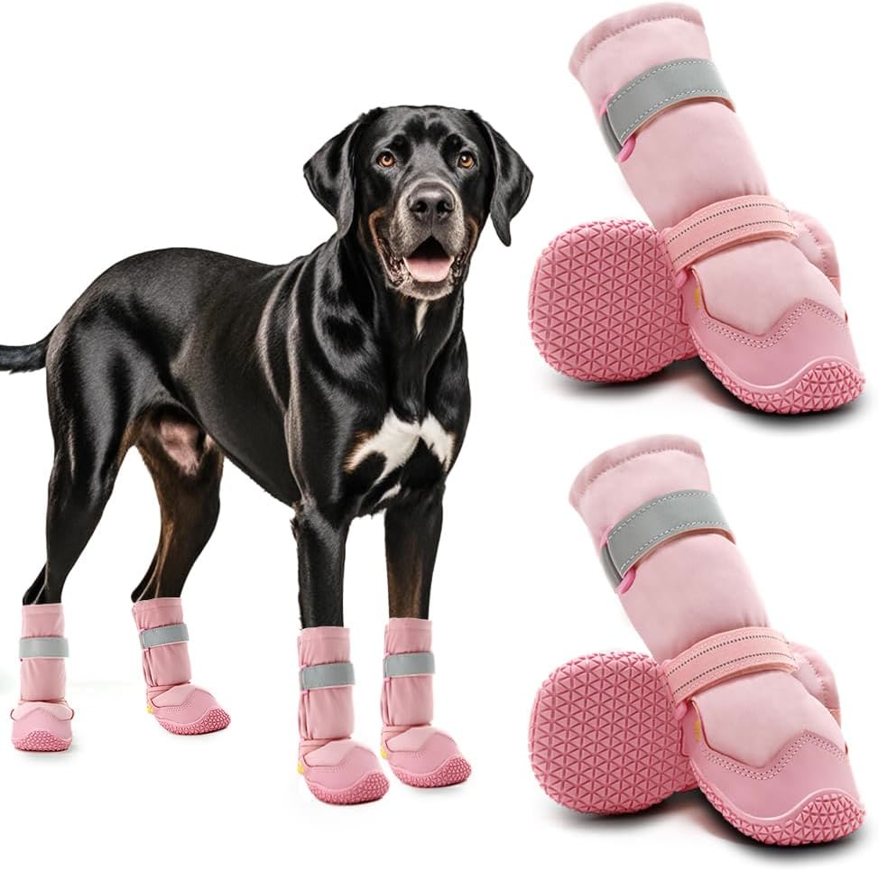 Dog wearing lightweight neoprene booties walking on a sunny paved path
