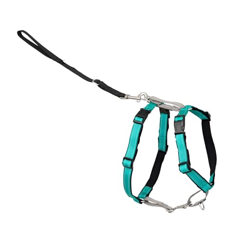 PetSafe 3-in-1 Harness
