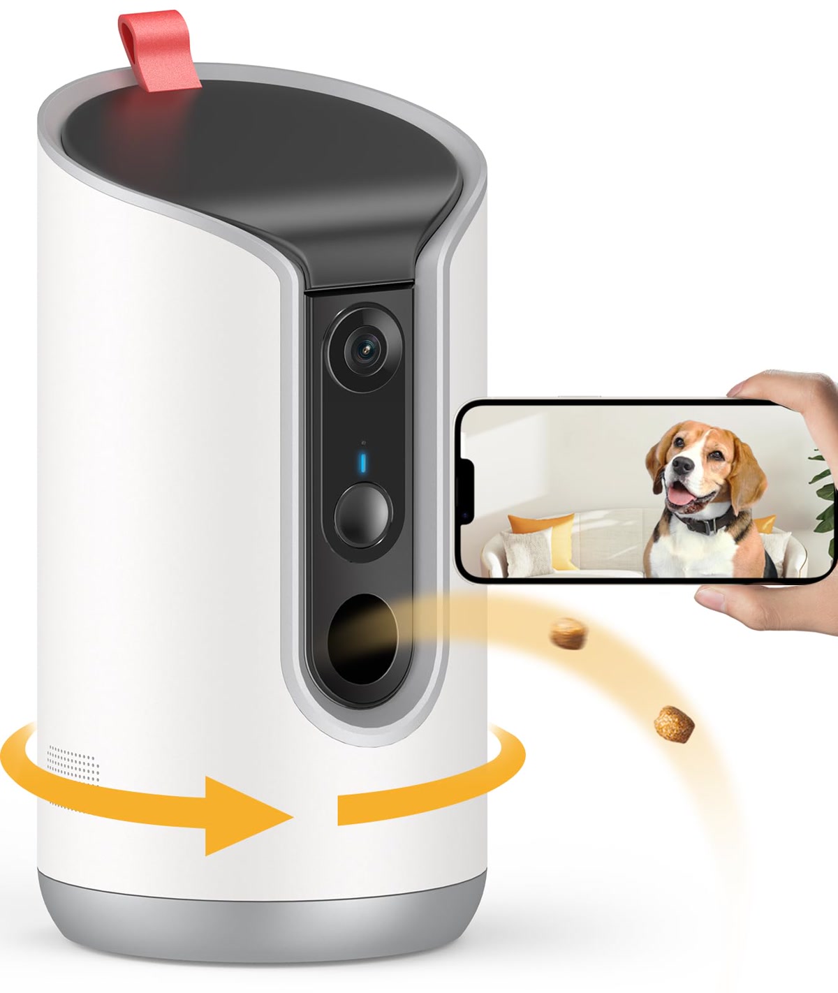dog looking at pet camera treat dispenser on side table
