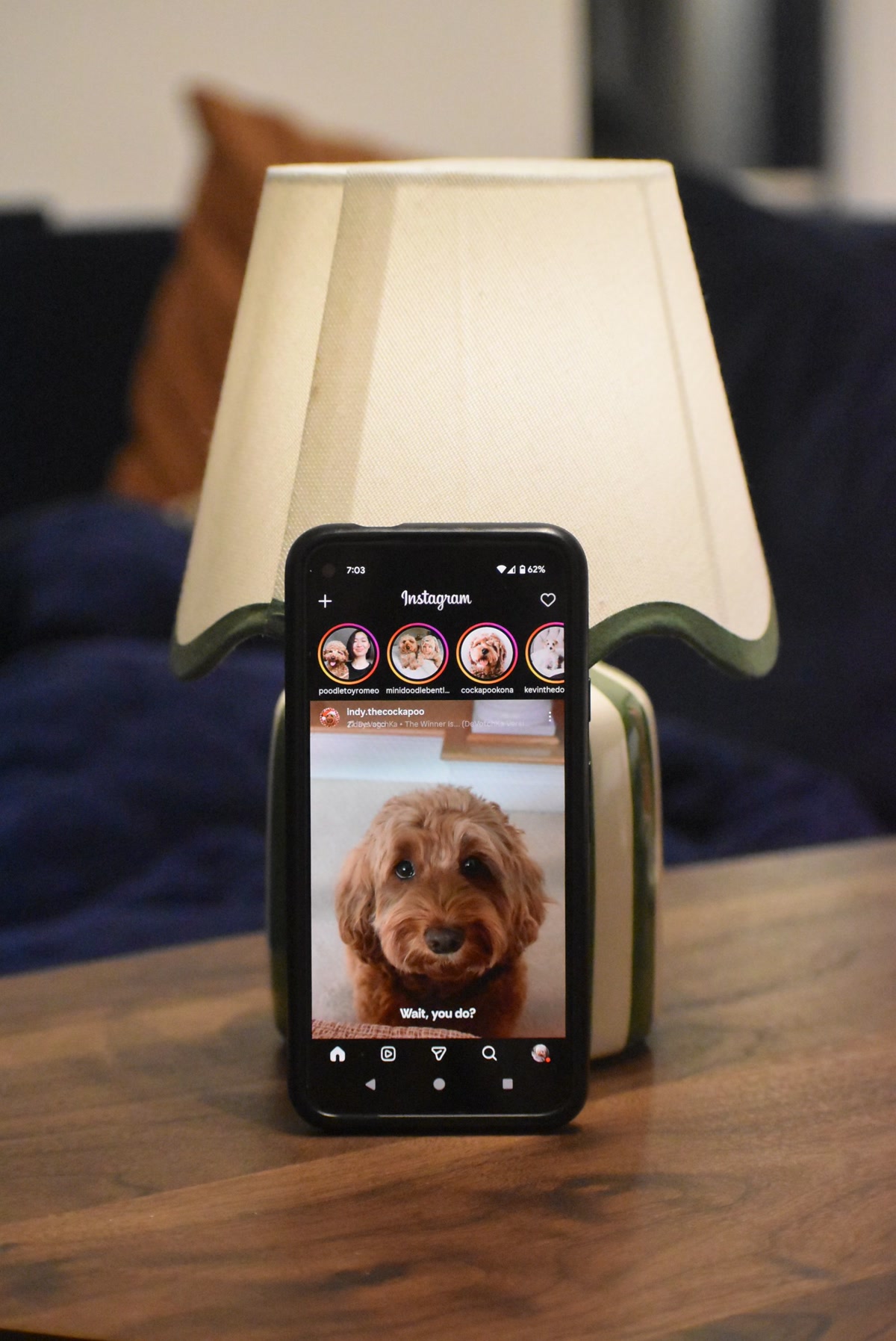 person checking pet camera app on phone showing dog at home