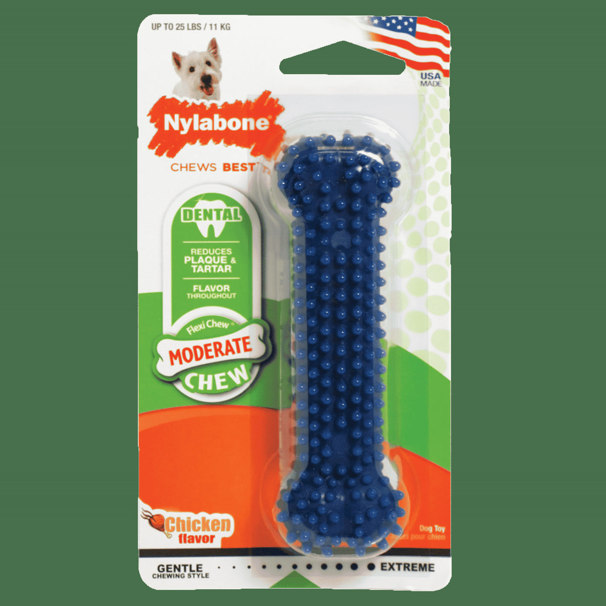 dog chewing on nylon dental bone toy on living room floor