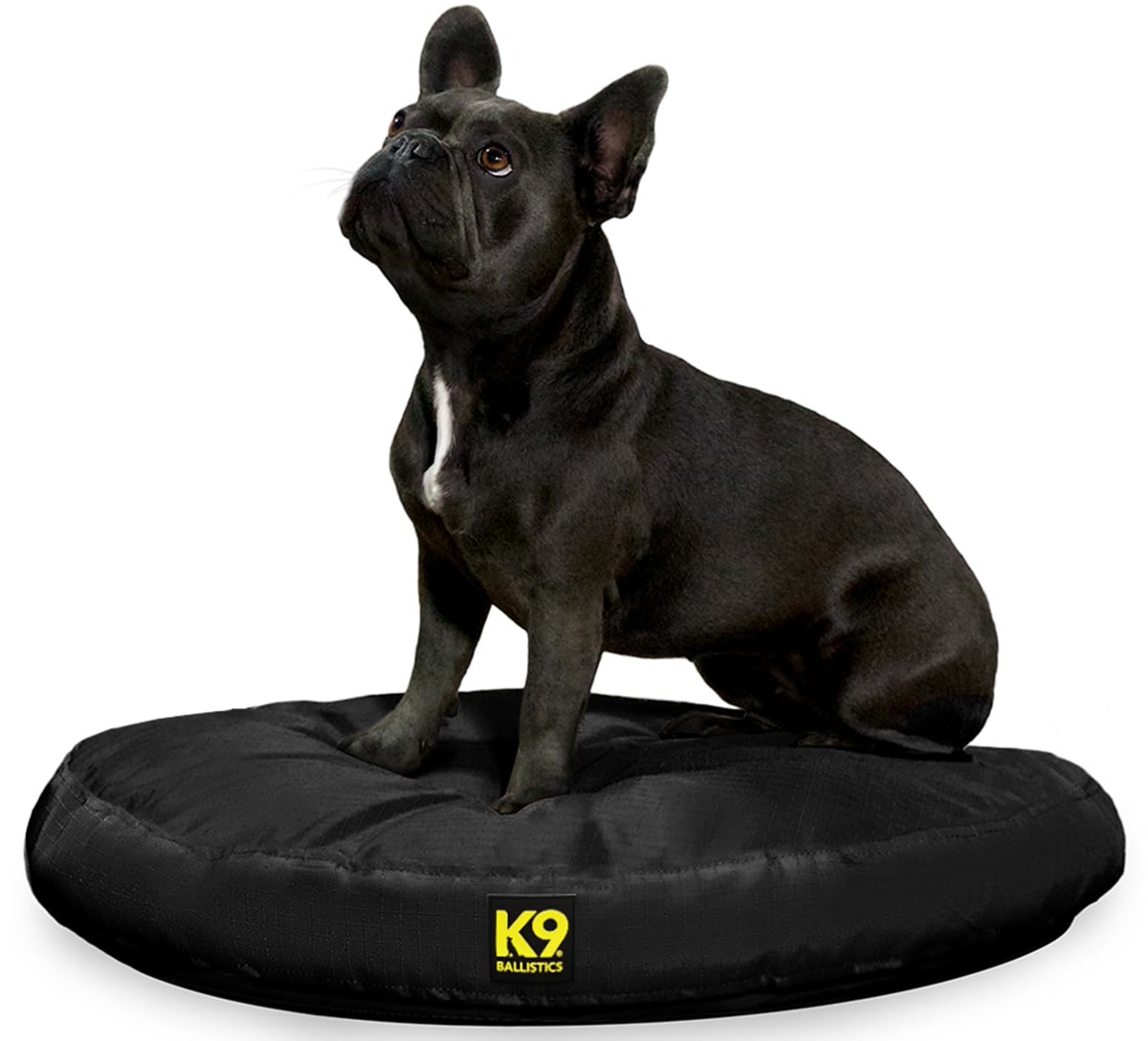 Black french bulldog sitting on round black ballistic nylon tactical dog bed for chewers