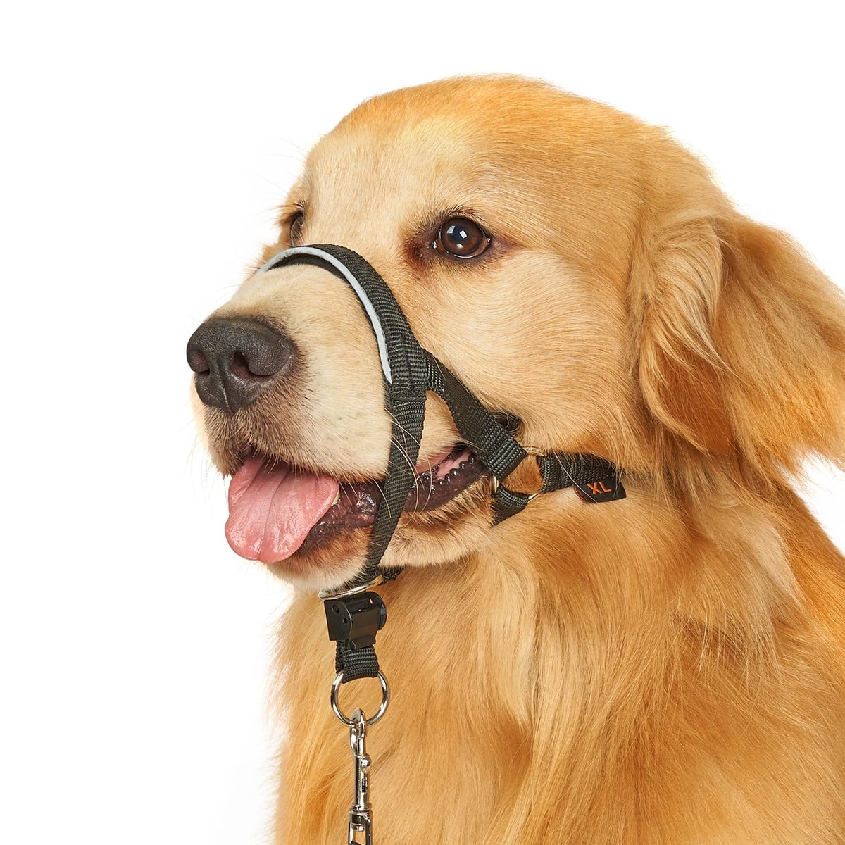 BARKLESS no-pull dog head collar product photo