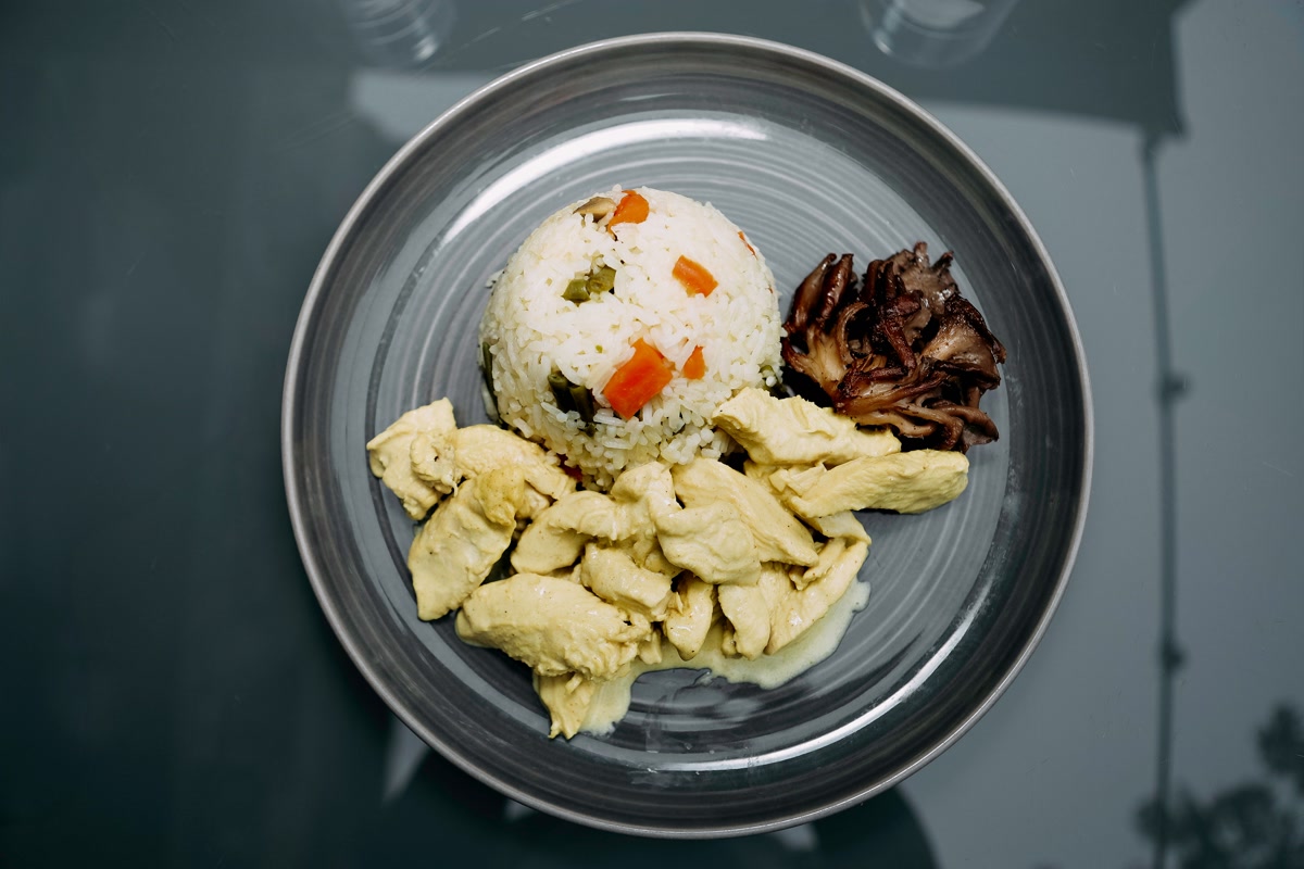 Bland diet of chicken and rice in bowl for dog with upset stomach
