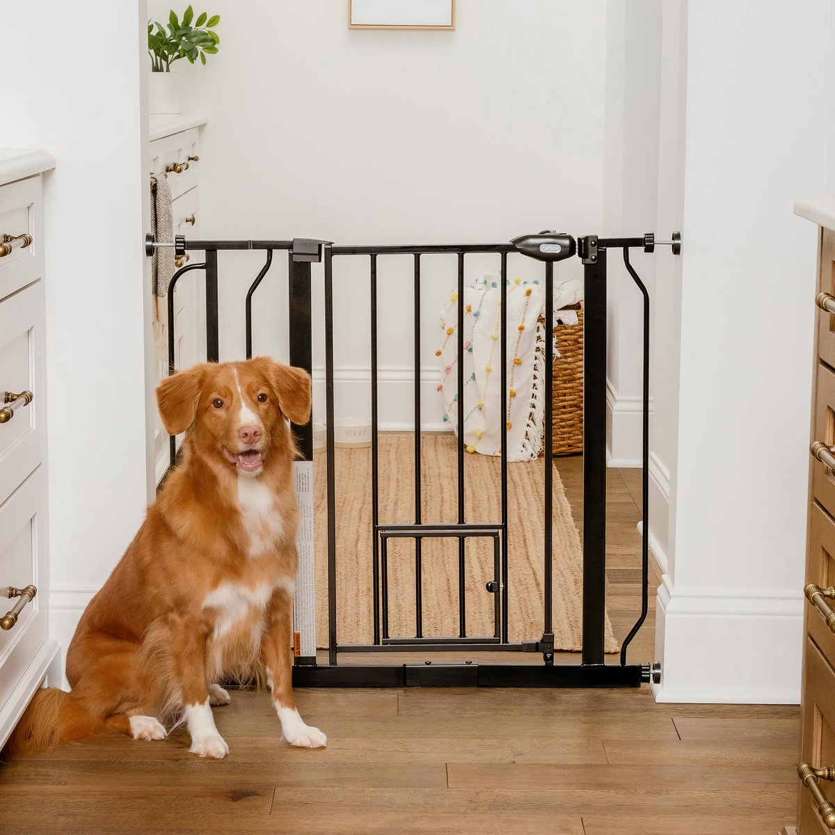 Carlson Extra Wide Dog Gate with small pet door product photo
