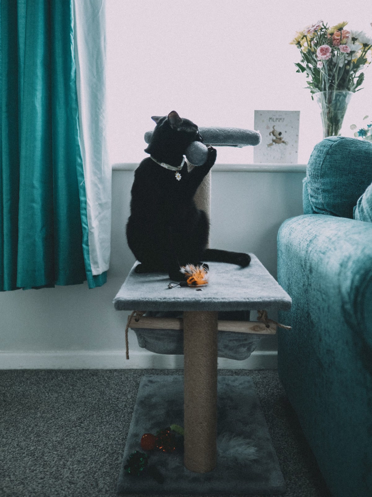 Cat playing with ball toy attached to cat tree post