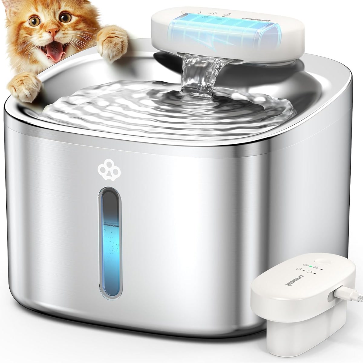 Stainless steel cat water fountain encouraging hydration for cats with kidney disease