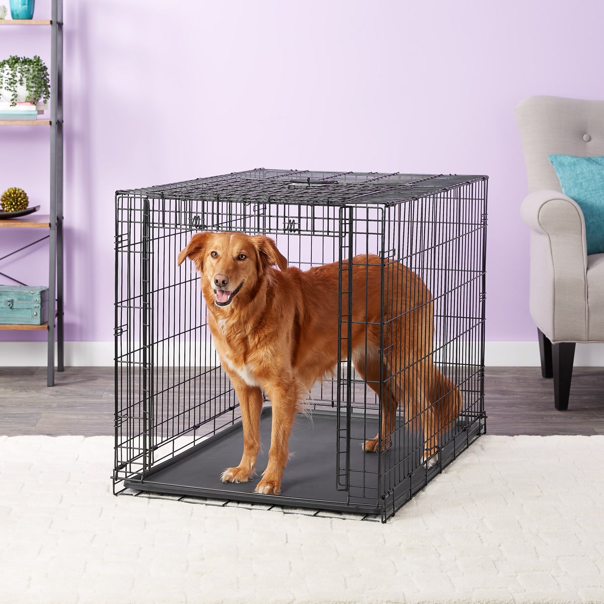 Different types of dog crates including wire, soft-sided, and furniture-style