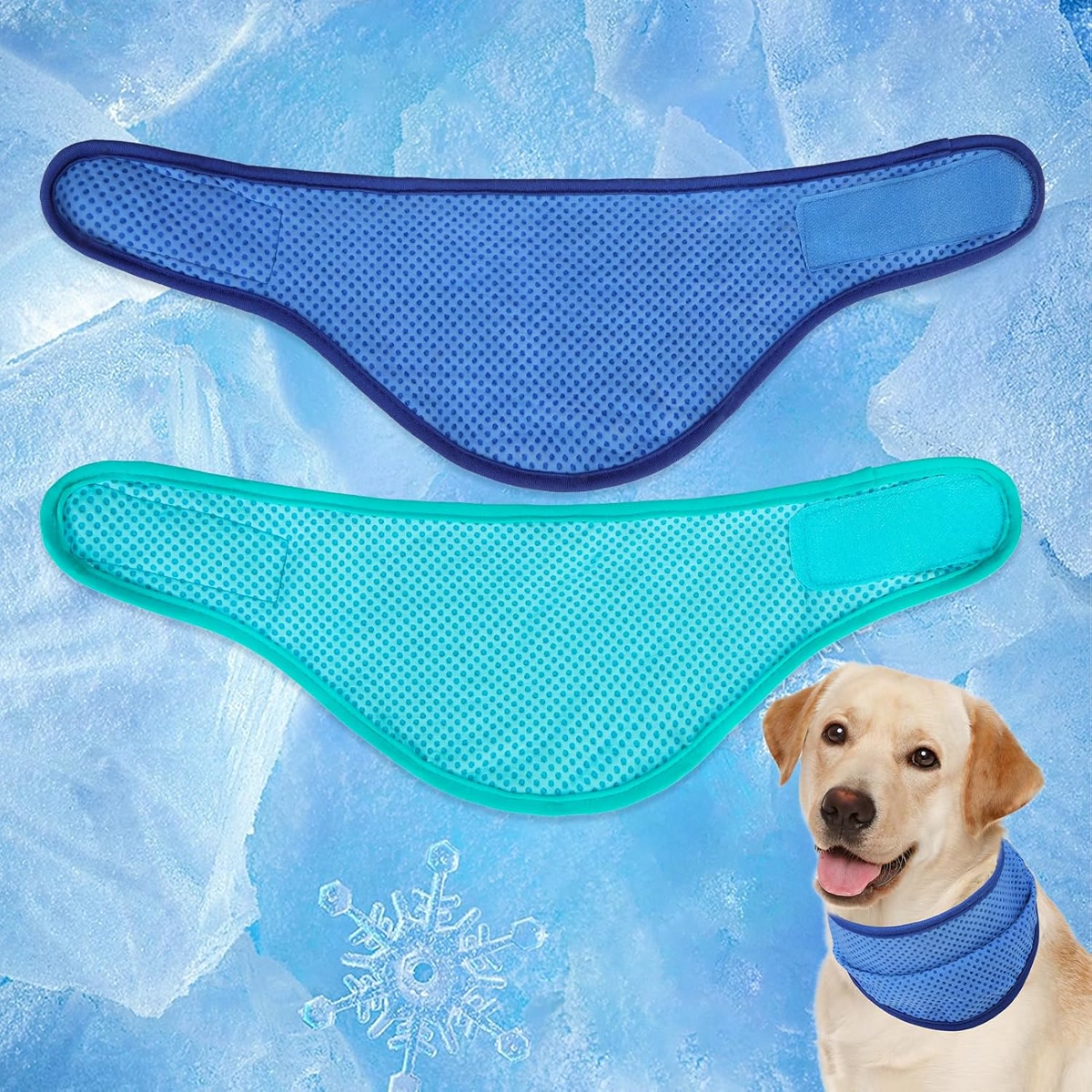 Cooling bandanas product for dogs in blue and teal with labrador wearing one in summer