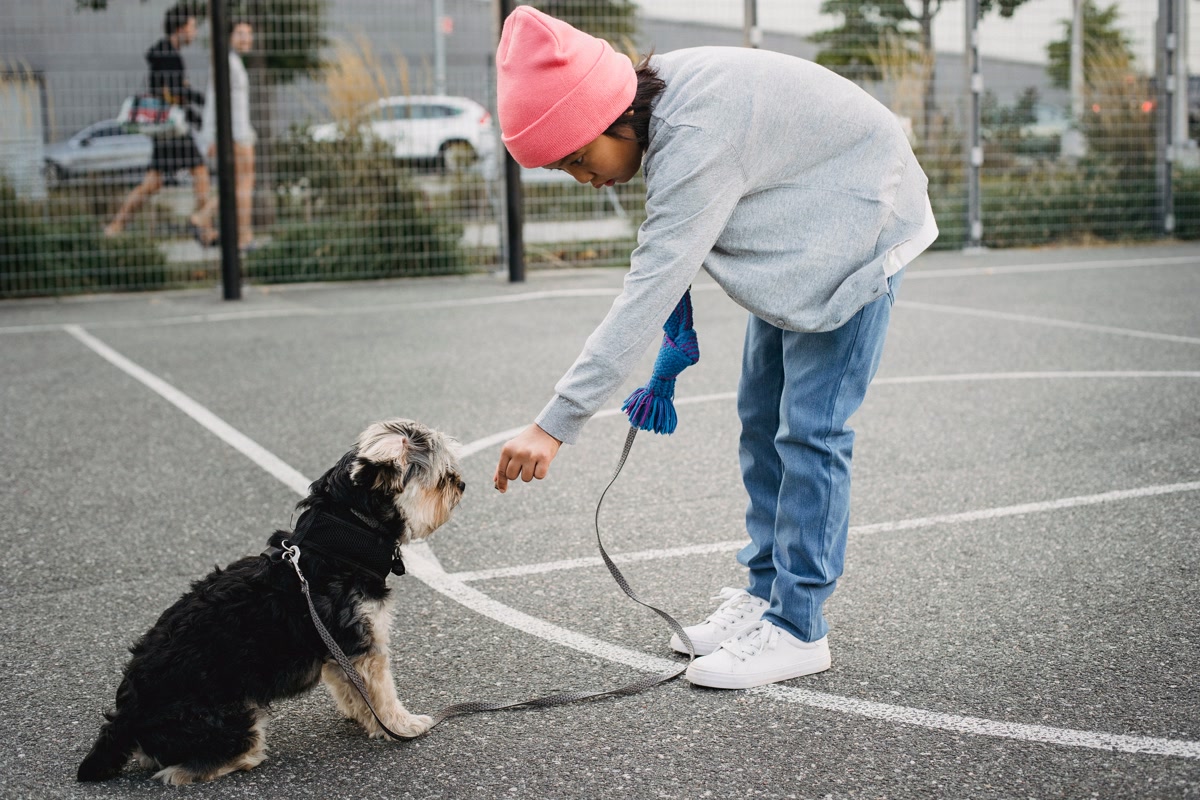 Child practicing leash training with a small dog outdoors