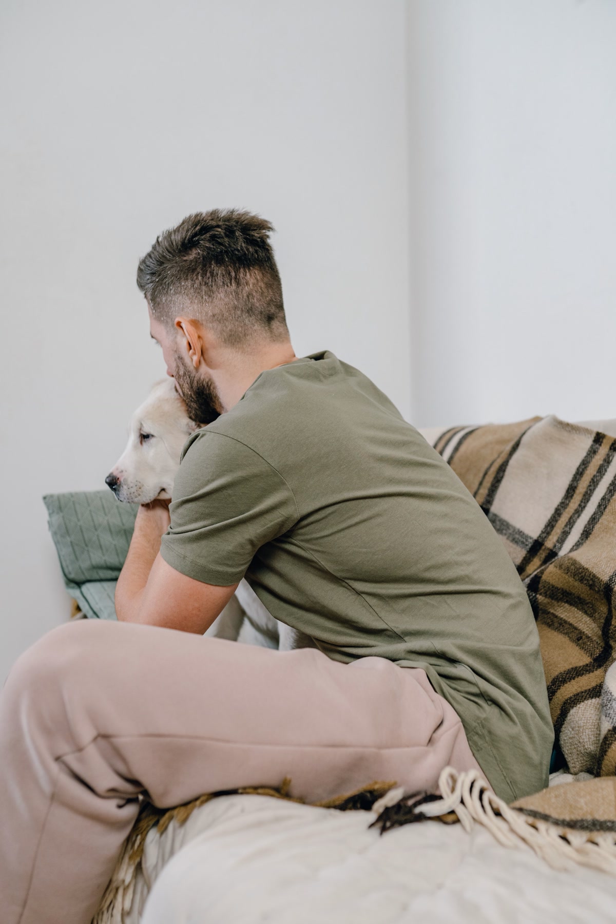 Man sitting on couch comforting white dog during recovery after veterinary visit
