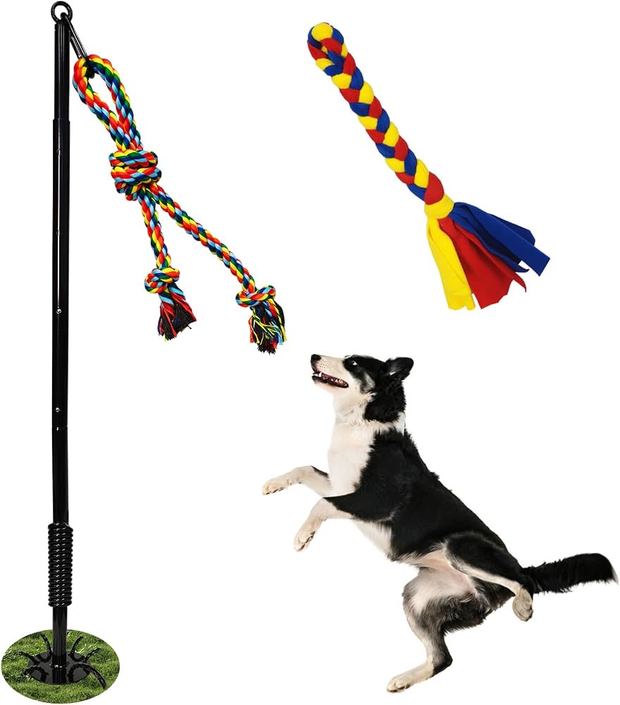 Colorful rope tug toy product for dogs with border collie playing