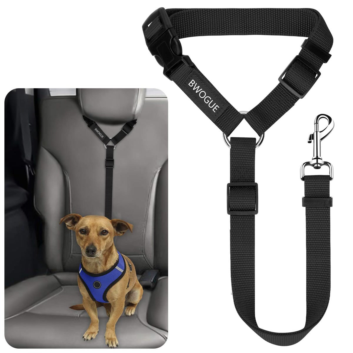 dog in car wearing seatbelt harness for safety