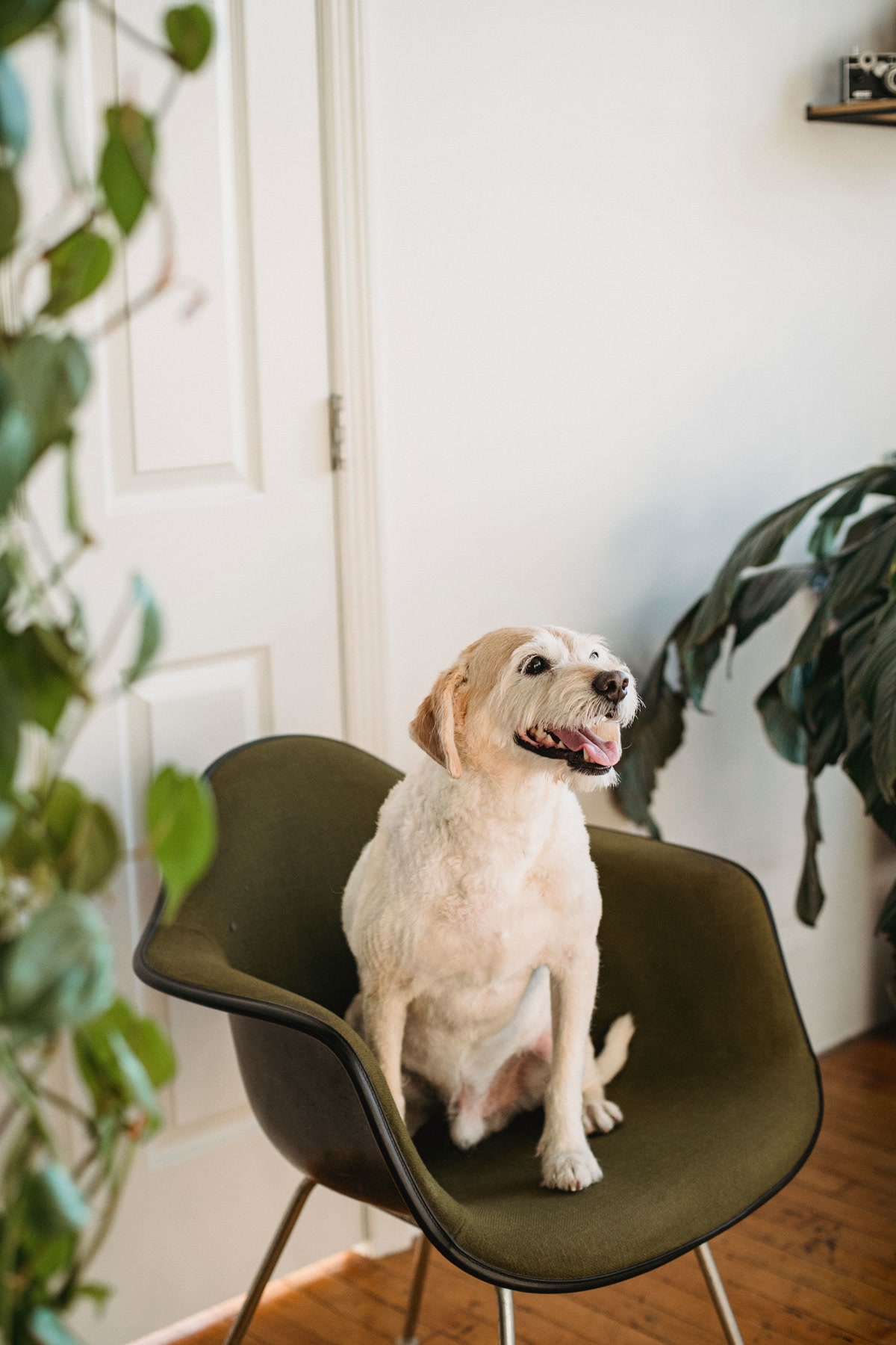 apartment hero