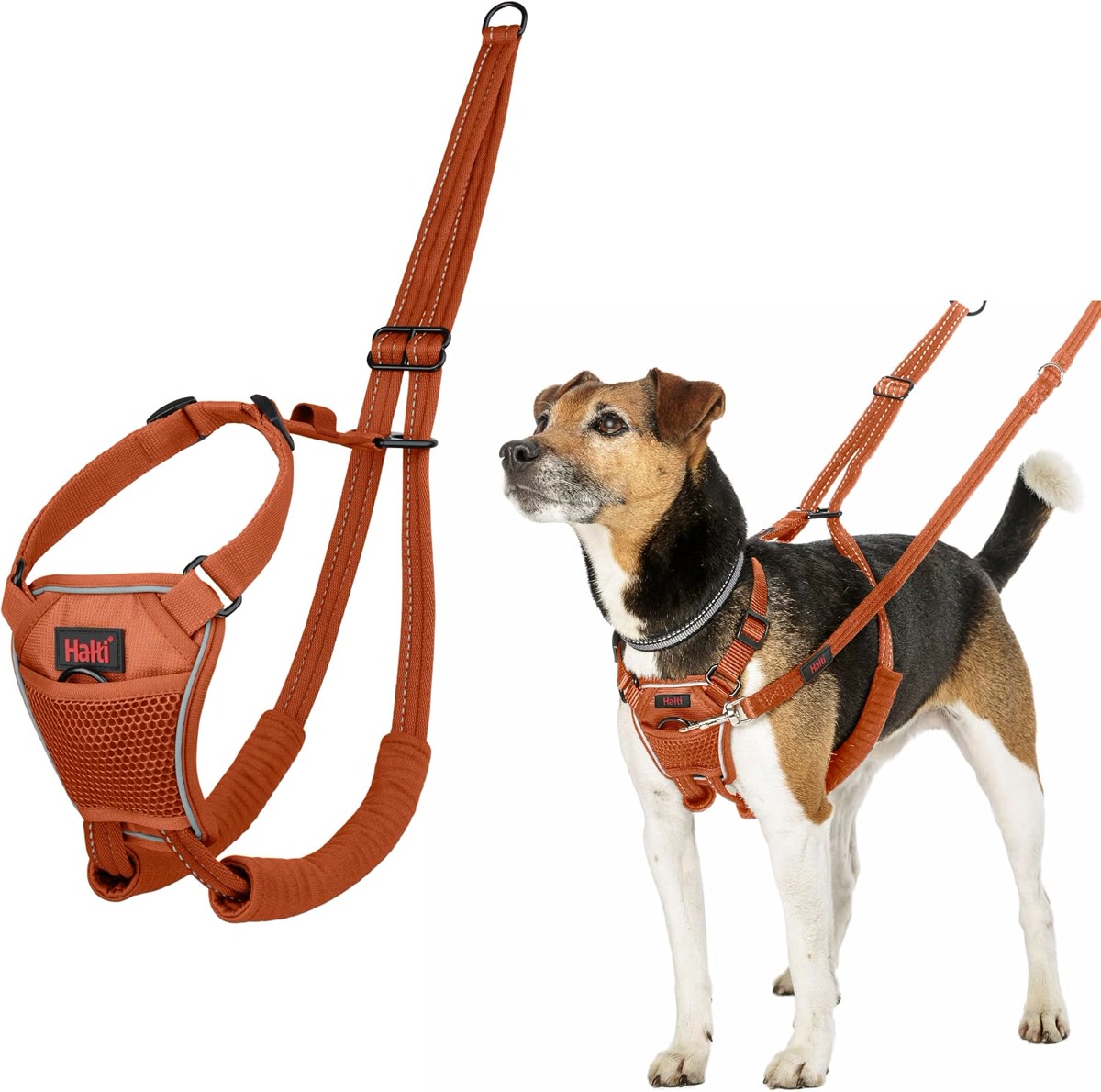 Orange Halti training harness product shown alone and on dog