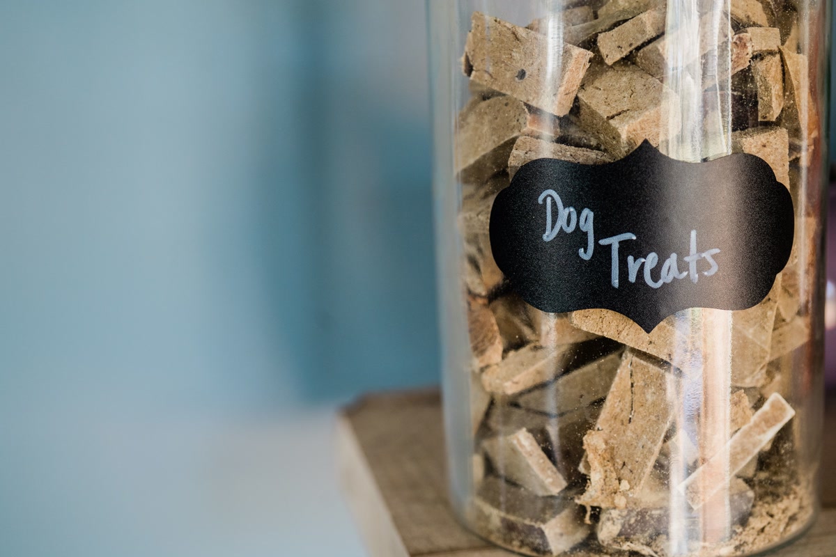 Glass jar filled with bone shaped dog biscuits labeled dog treats