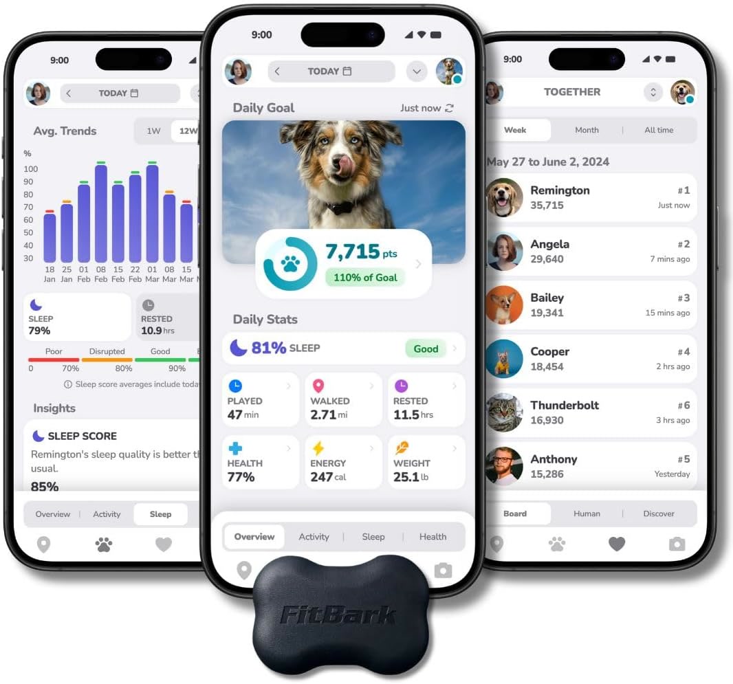 FitBark 2 dog activity and sleep monitor device on a collar