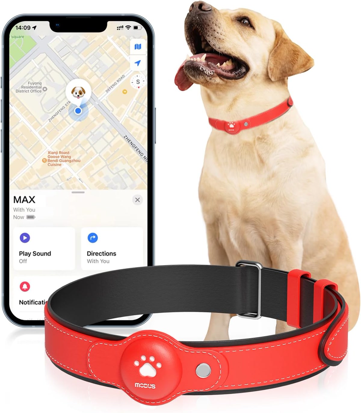 MODUS GPS Tracker for Dogs Review | My Dog …