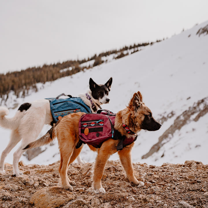 Dog Backpack – Wilderdog