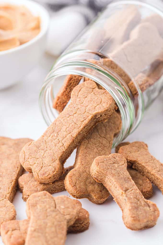 Yummy Homemade Peanut Butter Dog Treats - Princes…