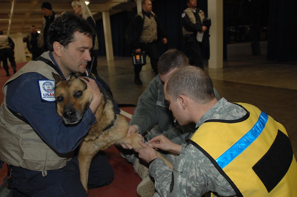 Search and Rescue Teams Arrive at Misawa Air Base [Image 2 of 2]