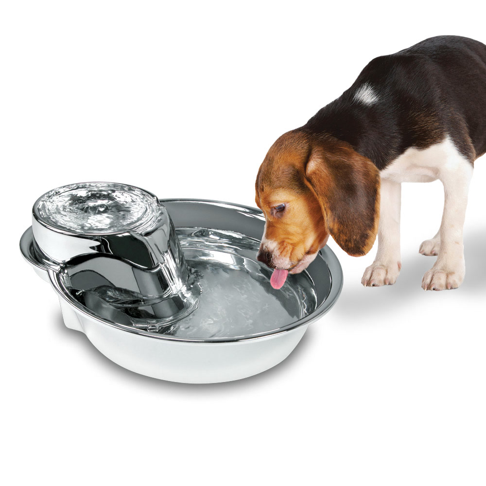 #3009 Big Max™ Premium Stainless Steel Drinking Fou…