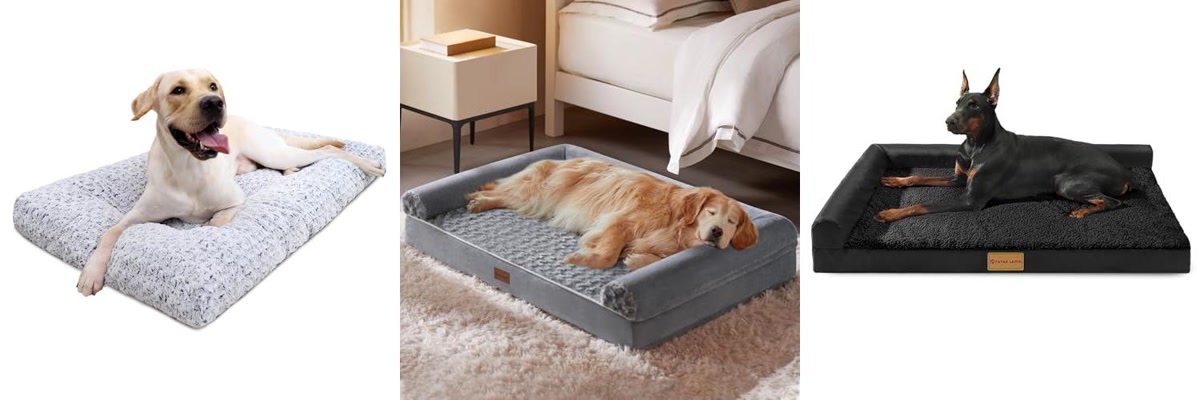 Top 5 Affordable Dog Beds: Reviews and Budget-Friendly Choices