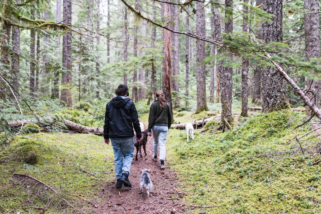 a man and a woman walking a dog in the woods